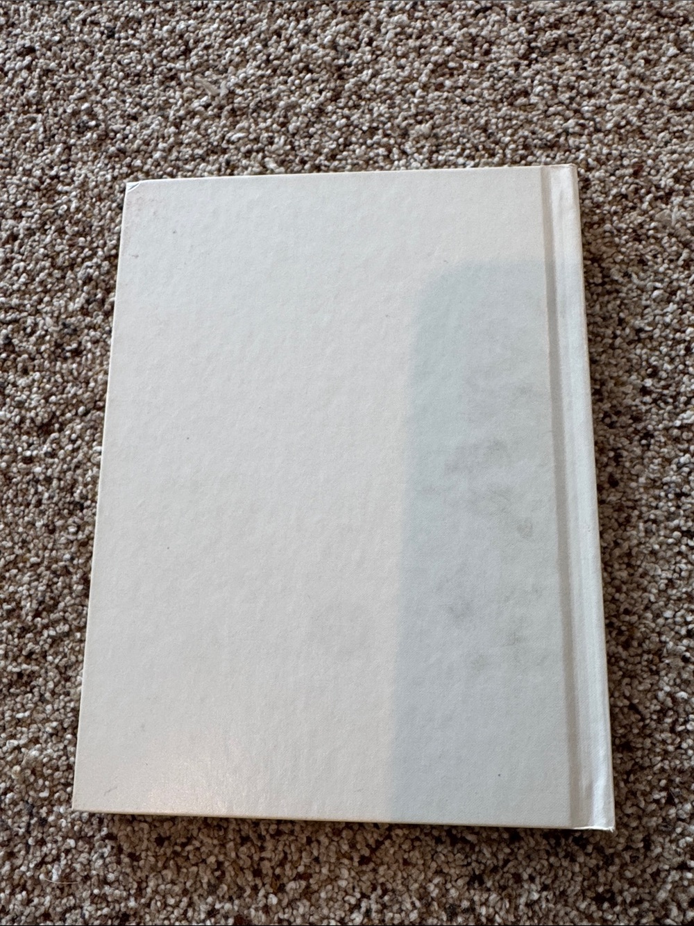 A Munch Bunch Book “Casper Carrot” by Giles Reed - Picture 2 of 12